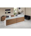Mueble mostrador Modelo Isla 04