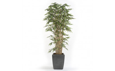 Árbol modelo Bambú Premium Decoplanta referencia 1801004 en Valencia