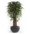 Árbol artificial Ficus Deluxe referencia 1802001