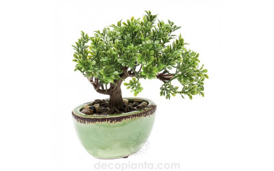 Árbol modelo mini Bonsái Ficus Decoplanta referencia 419996 en Valencia