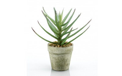 Planta artificial con maceta mini Aloe referencia 425428