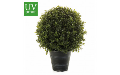 Bola de Boj para exterior de decoplanta valencia 417629