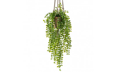 planta de decoración colgante de techo decoplanta valencia 4200809