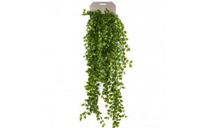 planta de decoración colgante de techo decoplanta valencia 419269