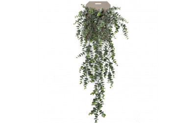 planta de decoración colgante de techo decoplanta valencia 419271