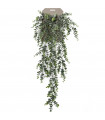 Planta colgante Eucalipto referencia 419271