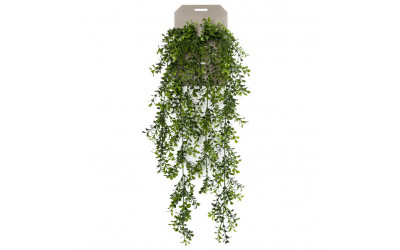 planta de decoración colgante de techo decoplanta valencia 419272