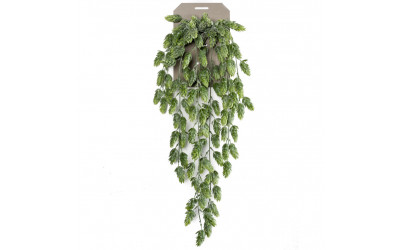 planta de decoración colgante de techo decoplanta valencia 419273