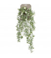 Planta colgante Rosas Blancas referencia 419276