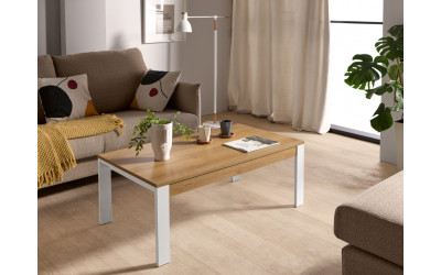 Mesa de centro moderna modelo Tema de Pemi