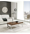 Mesa de centro modelo Zen